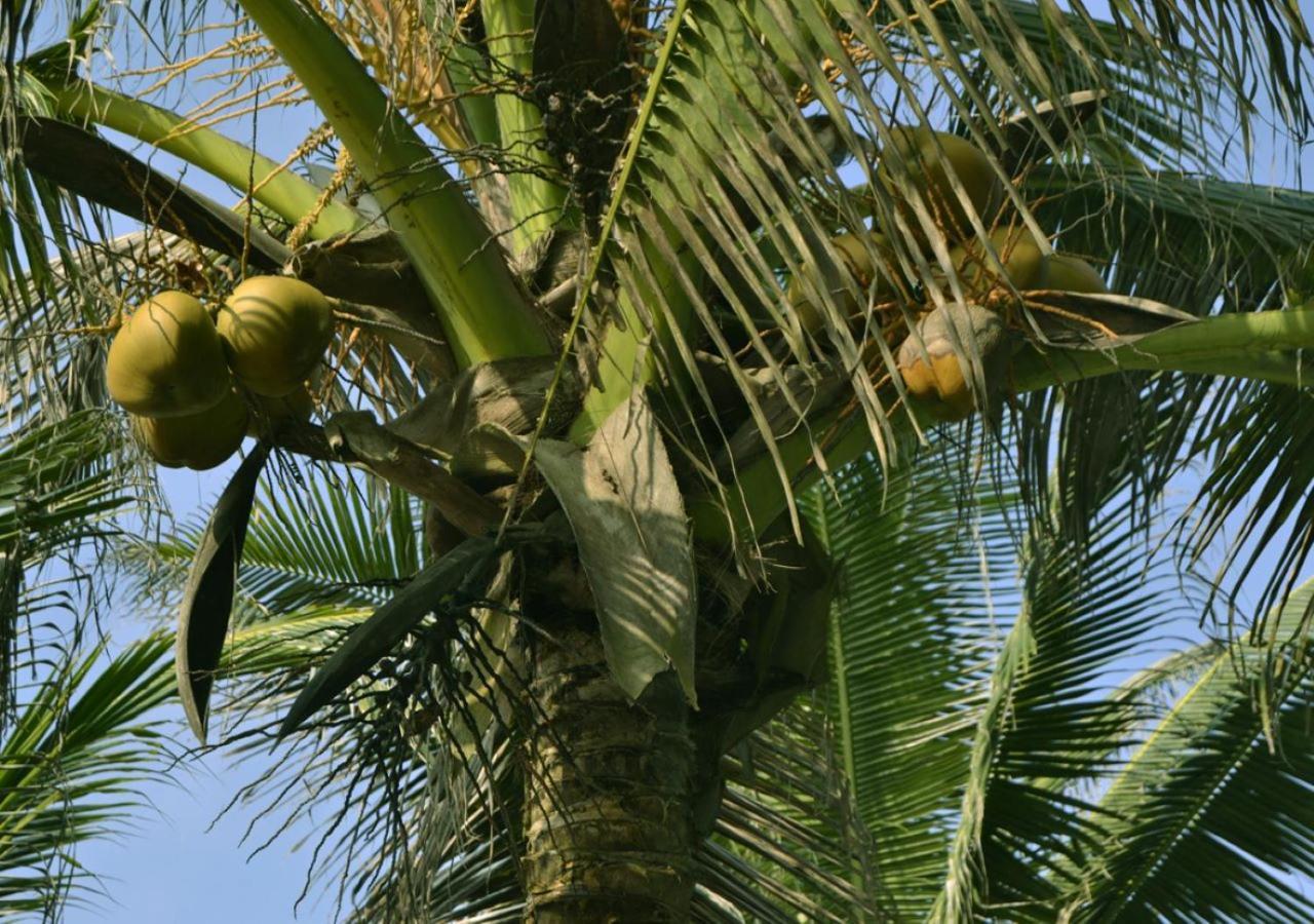 Cocobeach-Hotel Lomé Extérieur photo